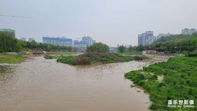 桃花潭水深千尺