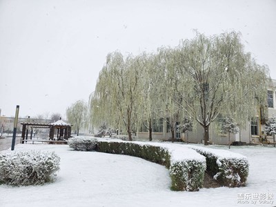 【新春星色彩】+四月春雪