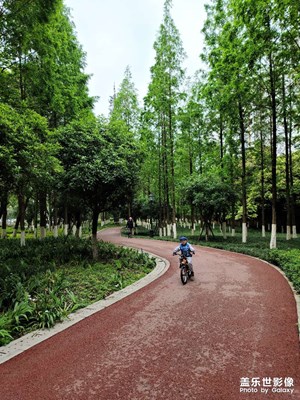 成都三環(huán)路綠道風(fēng)景