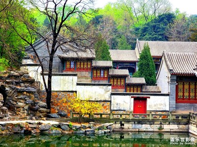 春致頤園花開(kāi)好
