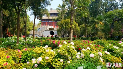 【初見·洛陽白馬寺】