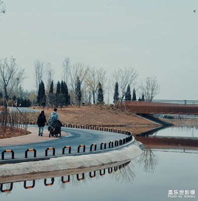 【霸屏朋友圈】郊野公園隨拍