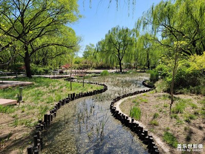 春日小景