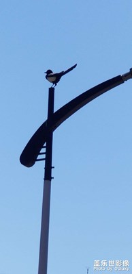 【霸屏朋友圈】隨拍