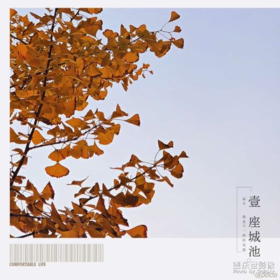 隨手拍