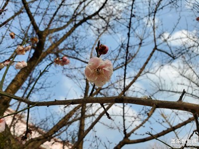 【光影記】+天空