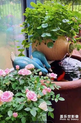 不管生活怎樣待你，你都要去熱愛(ài)它！