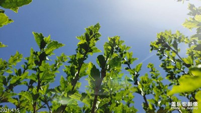 我的三星S9+還能打