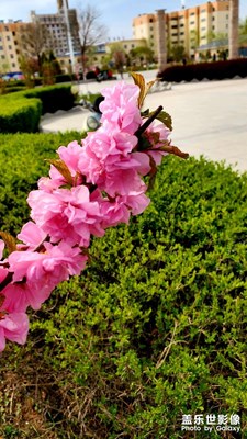 春暖花開逛公園