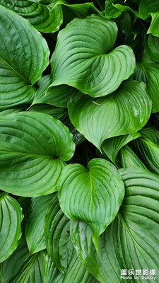 風(fēng)景甚好。。。。