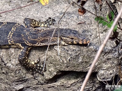 三星hdr10真的很不錯