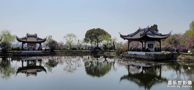 【光影記】蠡園水影