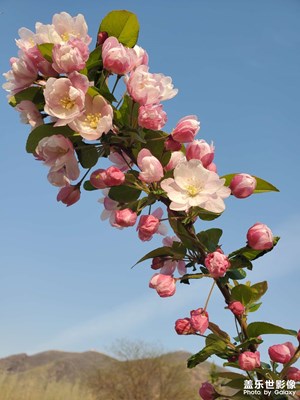 誰(shuí)沒(méi)幾張照片