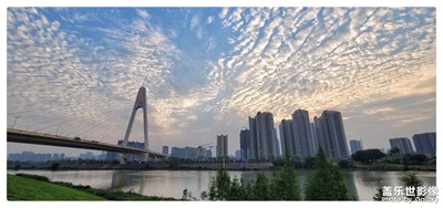 佛山奇龍大橋的傍晚+今天的日暈