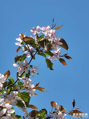 五一勞動(dòng)節(jié)快樂