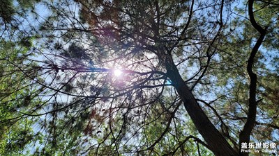 濱湖國家森林公園