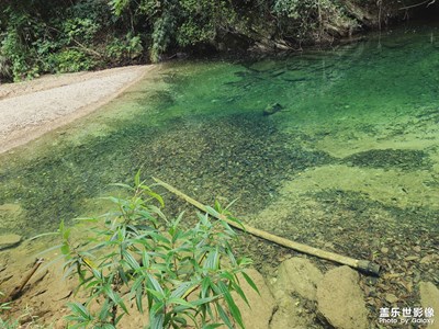 小樹林里消暑。