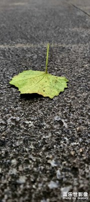 好看不？