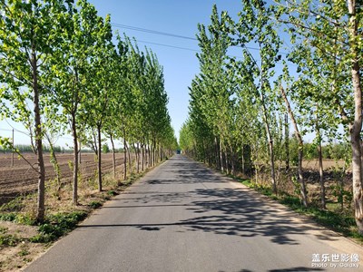 夏天忽然之間就來(lái)了