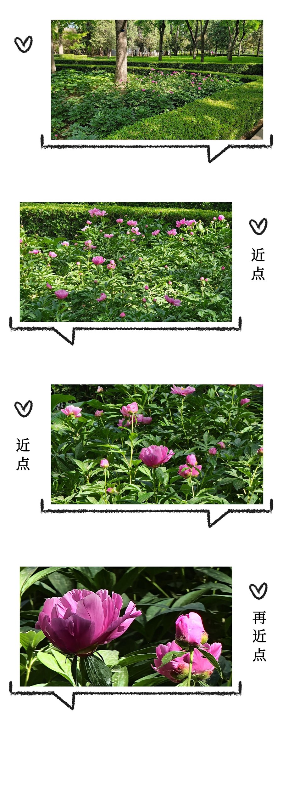 【母親節(jié)】父母輕松秒變拍照達(dá)人的秘訣(二) 【母親節(jié)】父母輕松秒變拍照達(dá)人的秘訣(二)