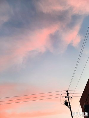 最近隨手拍的照片