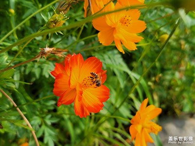 Galaxy Note 20 Ultra