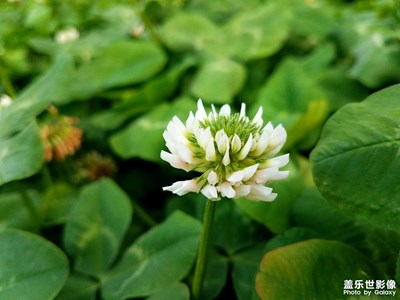 【出游記】+環(huán)城河邊