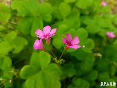 【出游記】+和七月同行的小風(fēng)景