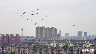 【陰天之下，城市黃昏】