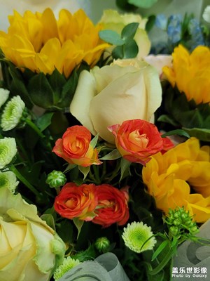 晚上好星友們。晚上好星友們。