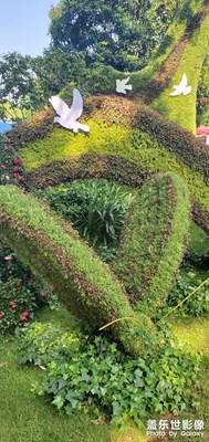 【家園麗景】+故鄉(xiāng)的美景