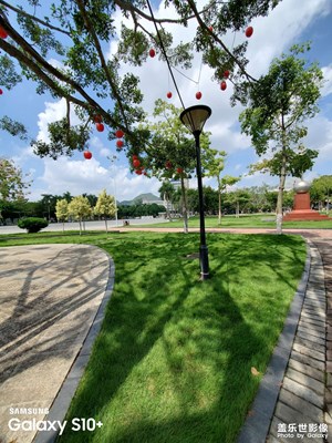 S10+隨手拍直出！