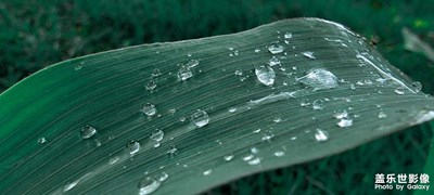 走進(jìn)大自然