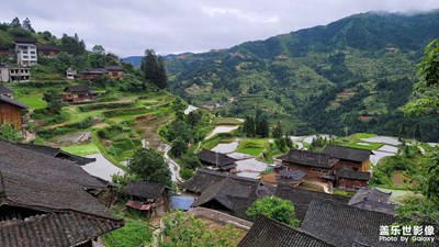 山氣日夕佳，飛鳥相與還