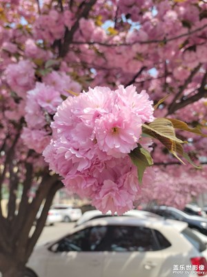 【我的色彩】+隨手一拍