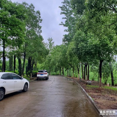 大10拍攝還真不錯(cuò)