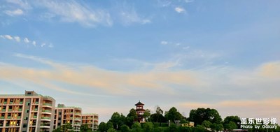 拍出來(lái)色彩還是比較鮮艷