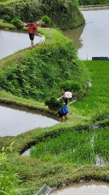 村在山里，美輪美奐