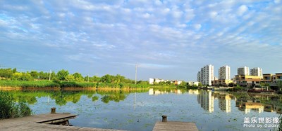 今早起來隨手一拍