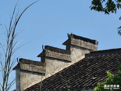 Galaxy S21 Ultra 十倍鏡頭