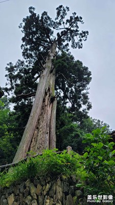 雷山，藏了多少美景在這里