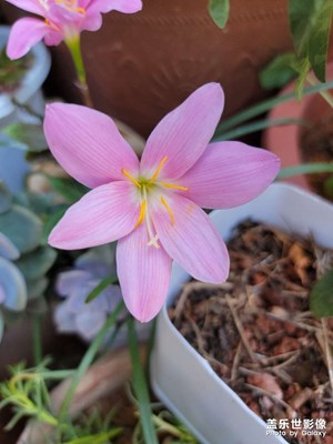 s21UItra白天這拍攝素質(zhì)還是頂尖的