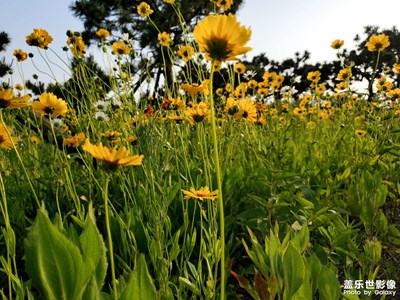 ??六月是我們查收好運(yùn)的時候了