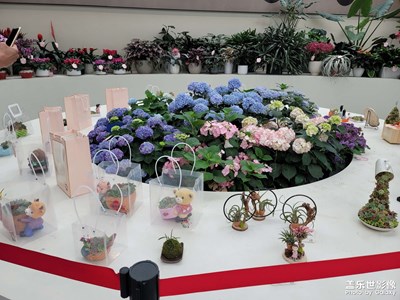 花博會(huì)開了，哈哈