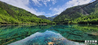 記錄九寨溝之美