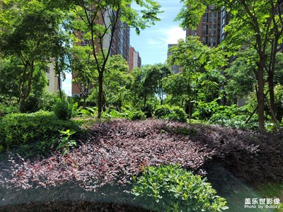 小區(qū)漂亮環(huán)境