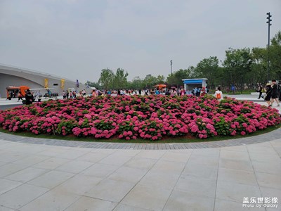 上海開世博會(huì)啦，好開心