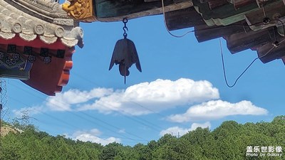 法海禪寺的夏天