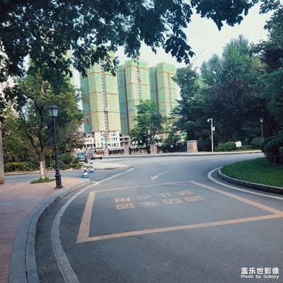 我賭一定沒有現(xiàn)場怪