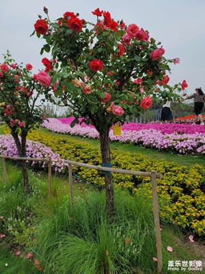 花博會(huì)開啦好開心啊